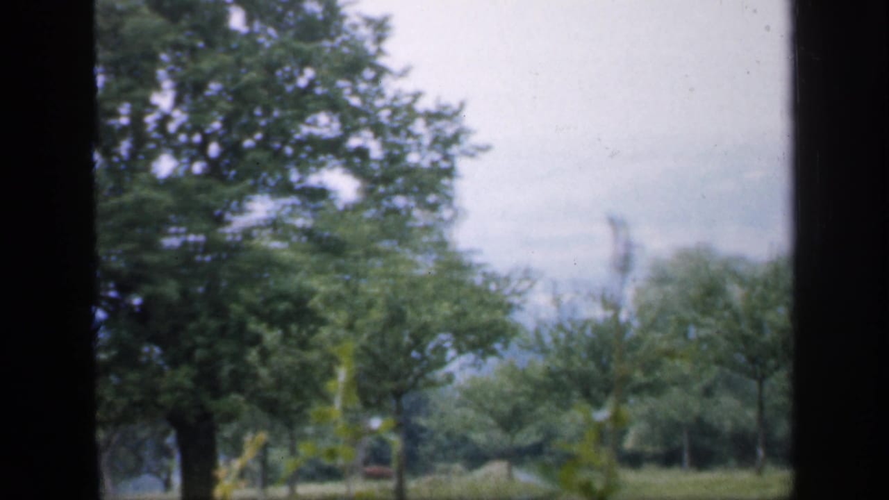 A large green tree and smaller trees appear beyond a dark vertical frame in this 1949 England rural travel view.