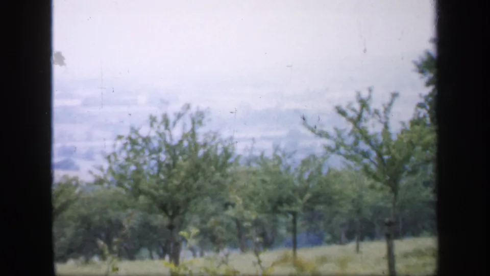 1949 England 8mm still of staked young trees on grass, with soft distant farmland and dark framing along the edge.