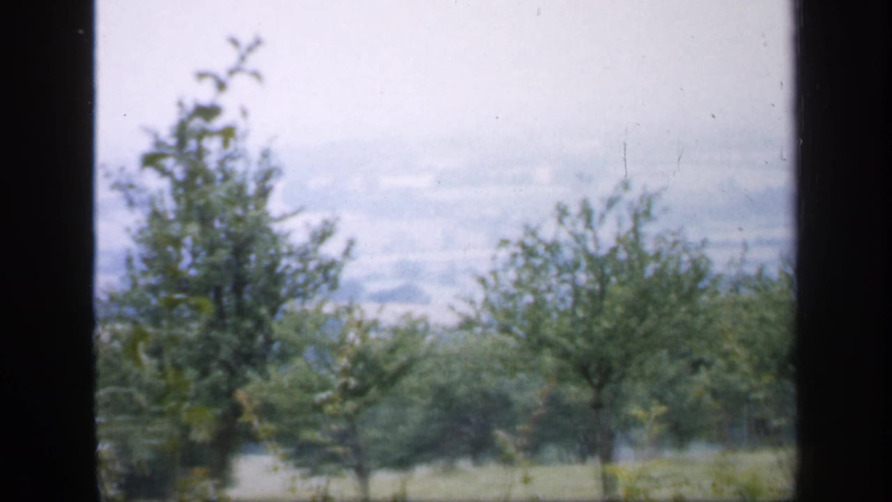 Dark window frame divides a soft view of trees and hazy rolling countryside.