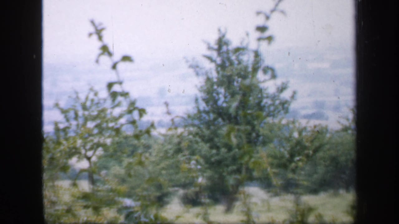 Trees and shrubs fill the foreground beyond a dark vertical window frame.