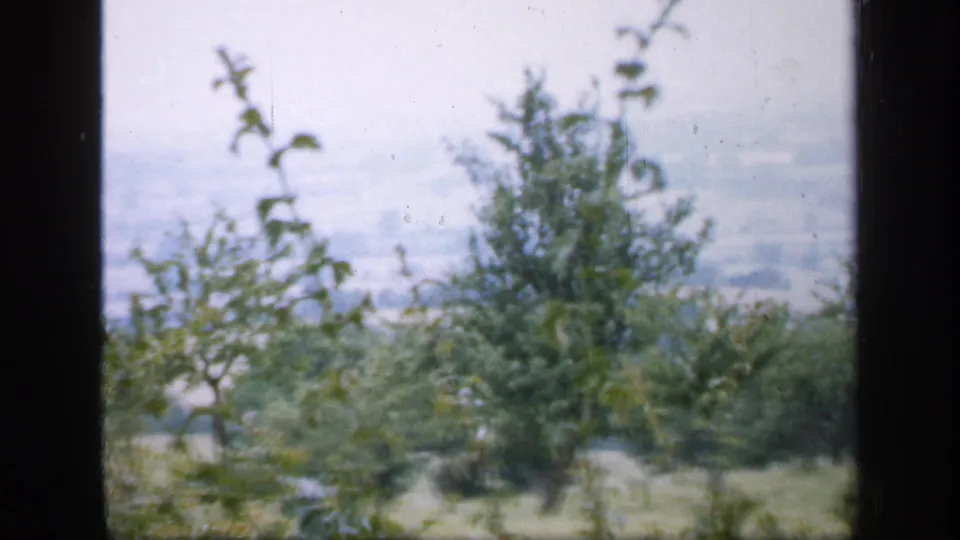 Soft 8mm view of rural England with trees, shrubs, and hazy hills beyond a dark window division.
