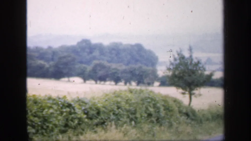 Moving 8mm view of rural England in 1949, with a roadside hedge, pale field, central tree, and distant wooded line.
