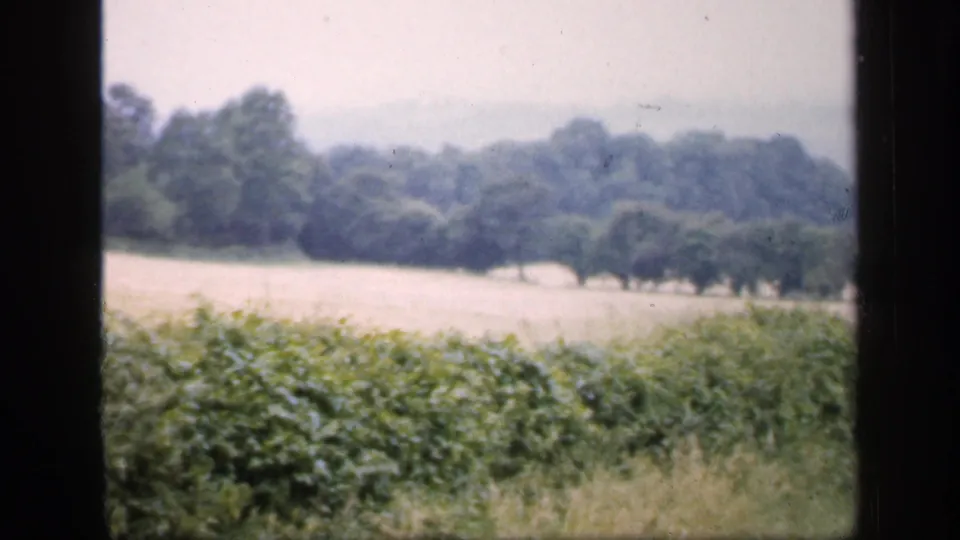 1949 England countryside frame showing a hedgerow foreground, pale field, mature trees, and distant soft hills under cloud.