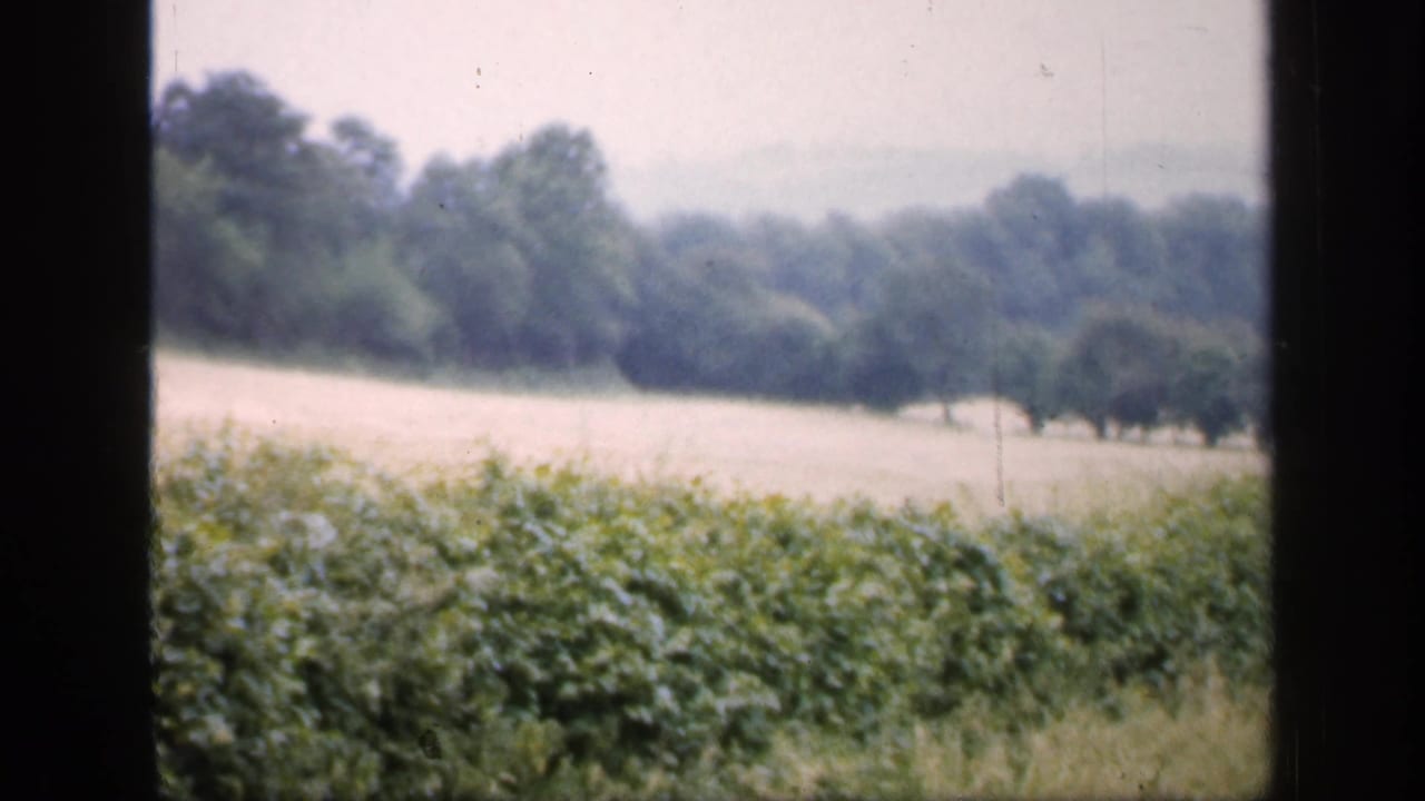 1949 England home-movie frame showing open countryside, hedgerow, distant trees, and the edge of a half-timbered cottage.