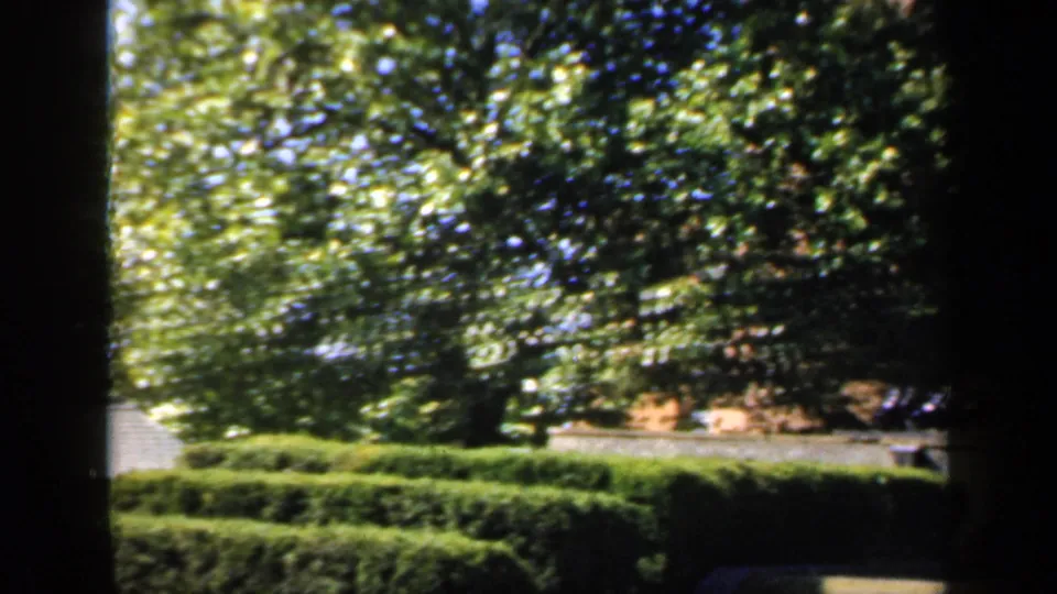 1949 England frame looking past a dark interior or frame edge toward hedges, trees and a sunlit garden area.