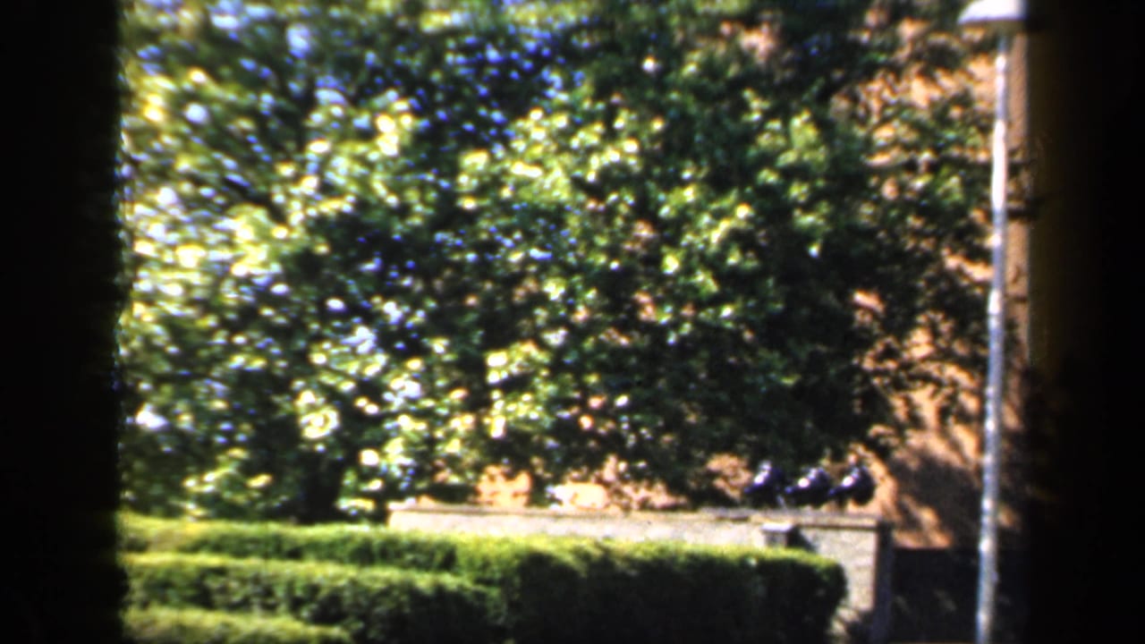 1949 England home-movie frame showing leafy trees and hedges in front of a brick apartment facade.