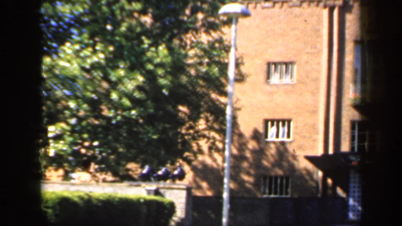 Brick apartment wall with small windows, trees, hedges, and a lamppost in front.
