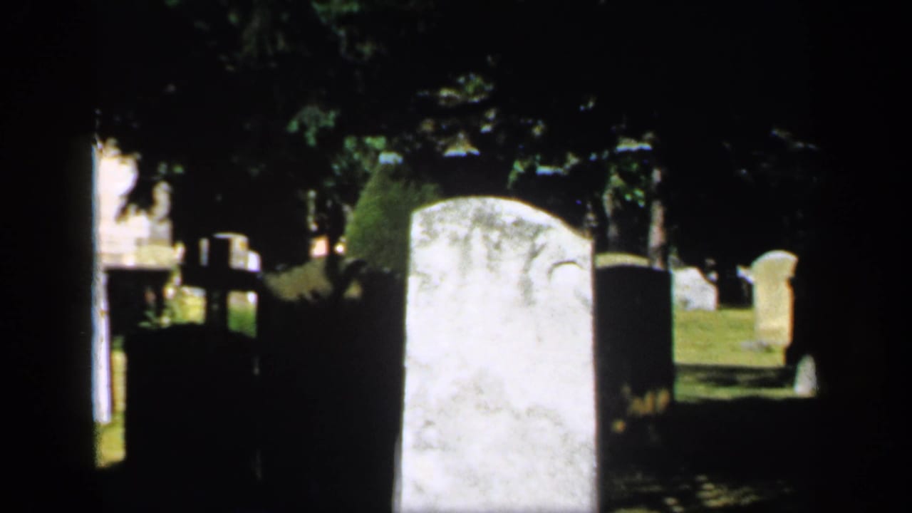 Large pale headstones and dark graves in a shaded cemetery.