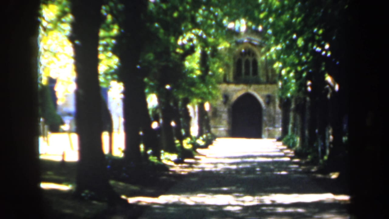 Tree-lined path leading toward a distant stone building with an arched entrance.