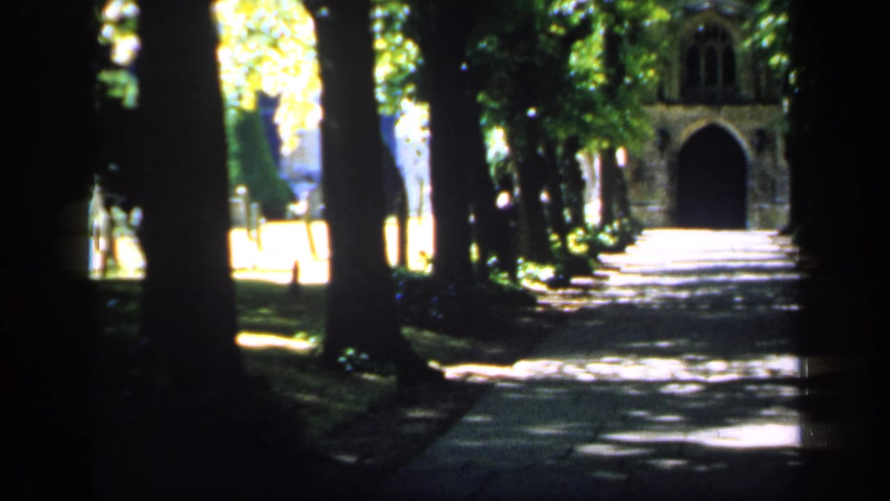 A soft 8mm view of an English tree avenue, with bright patches on the path and a distant arched stone doorway.
