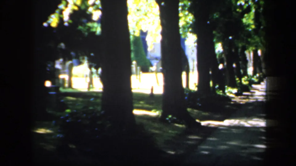 1949 England home-movie frame with tall trunks, a shaded path, bright lawn beyond, and soft color contrast from 8mm film.