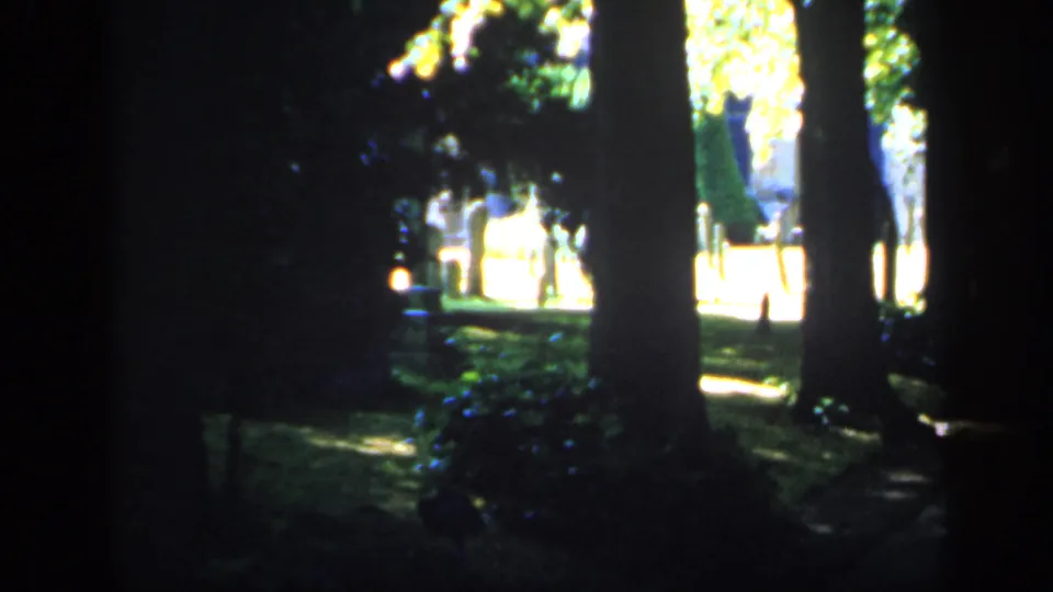 A later frame of the 1949 England 8mm shot, showing deep shade, tall trunks, flowering shrubs, and bright sunlit grounds beyond.