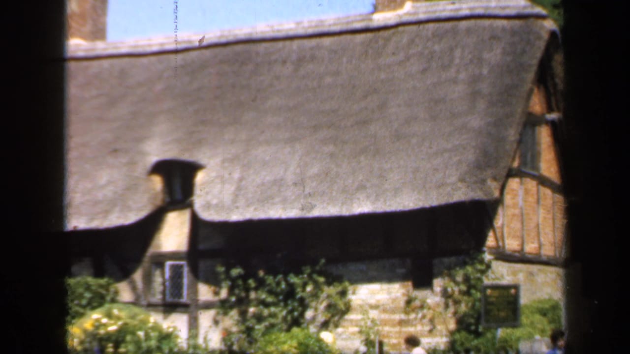 Thatched cottage seen through dark foreground framing with garden plants below.
