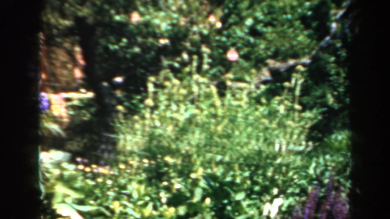 Soft-focus flowerbed with green foliage, pale blossoms, and a dark tree trunk at the edge.
