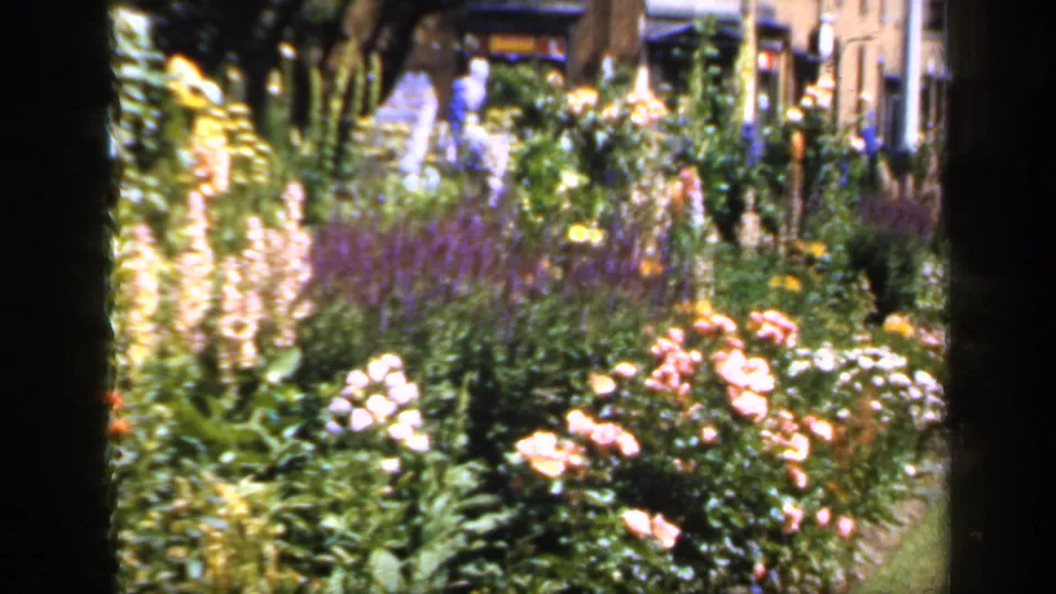 1949 England 8mm frame showing colorful park flowerbeds with pink roses, white blossoms, purple spikes, trees, and indistinct visitors in the background.