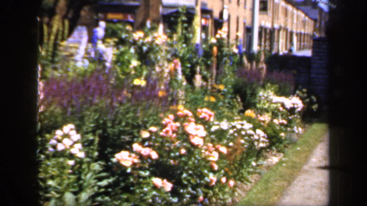 Flower beds beside a gravel path with brick terrace buildings in the background.