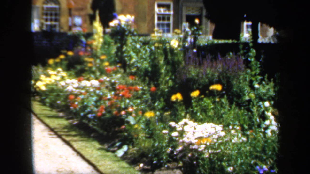 1949 England home-movie frame showing colorful flower borders, a pale path, lawn edge, and part of a brick house in the background.