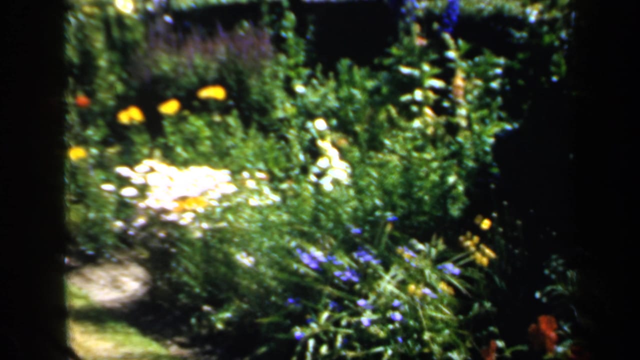 Dense flower bed with yellow and white blooms and a curving garden path.
