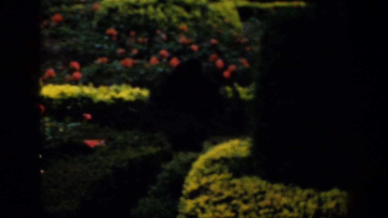 Formal English garden beds with red and yellow blooms appear through a dark 8mm frame edge.