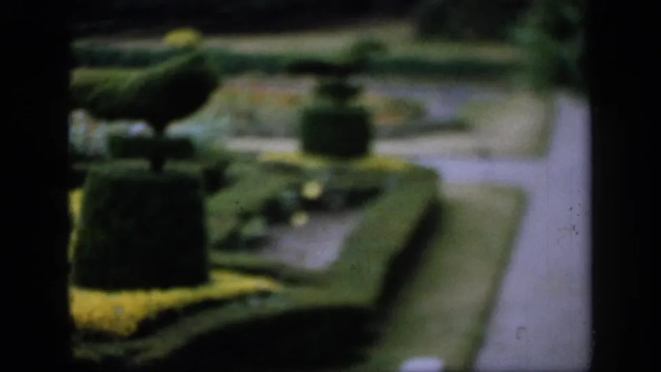 1949 England 8mm frame showing a peahen in a formal garden with clipped topiary, planted beds, and soft vintage color.