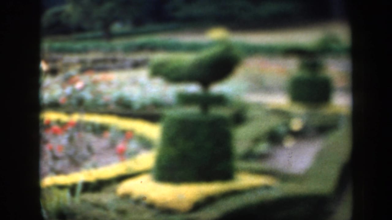 1949 England home-movie frame showing a formal garden with curved borders, flower beds, hedges, and sculpted topiary in soft focus.