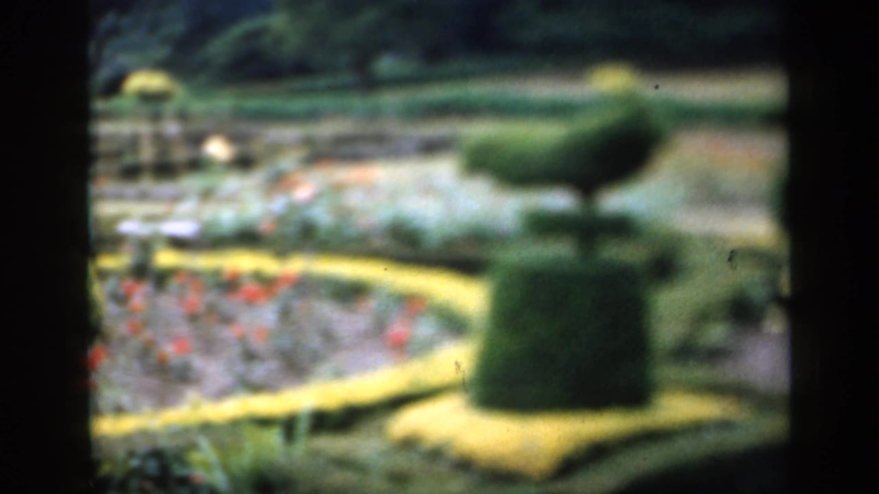 Formal garden with topiary forms, red flowers, hedges, and paths in soft focus.