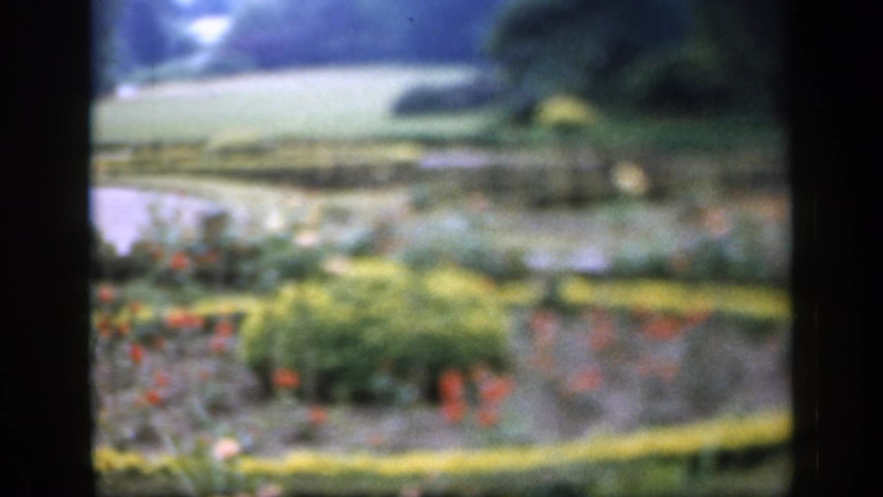 Soft 8mm view of colorful flowerbeds, shrubs, lawn, and trees in a garden.
