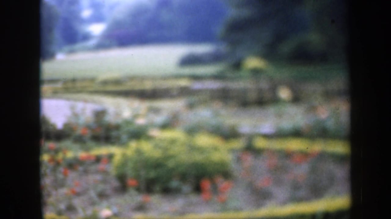 Garden borders with red flowers, low shrubs, lawn, and distant trees.