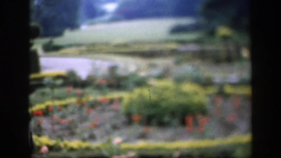 Late-1940s England 8mm frame showing red flowers, dense shrubs, a pale lawn, and trees with visible film grain and softness.