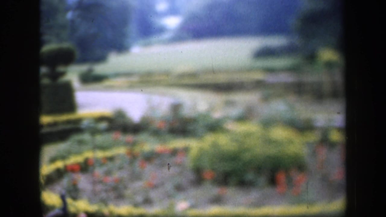 1949 England home-movie frame showing a soft-focused formal garden with pond water, curved hedges, red flowers, and topiary.