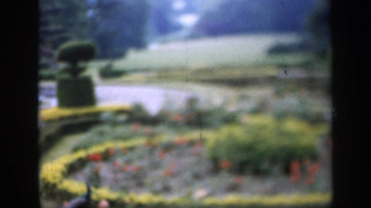 Soft 1949 England garden view with pond, topiary, green beds, clipped hedges, and small red flowers near the water.