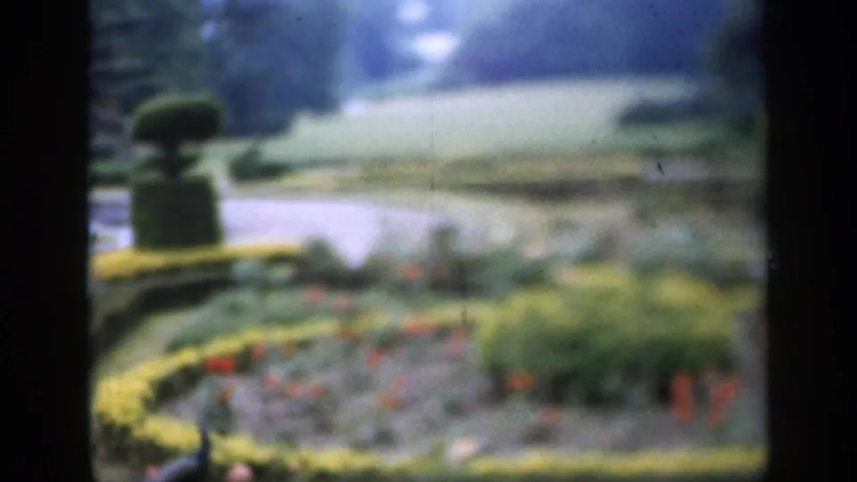 Soft 1949 England garden view with pond, topiary, green beds, clipped hedges, and small red flowers near the water.