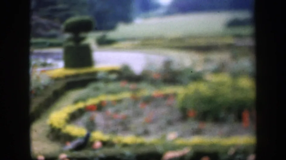 1949 England 8mm frame of a formal garden, with a pond beyond curved hedging and red flowers in the foreground beds.