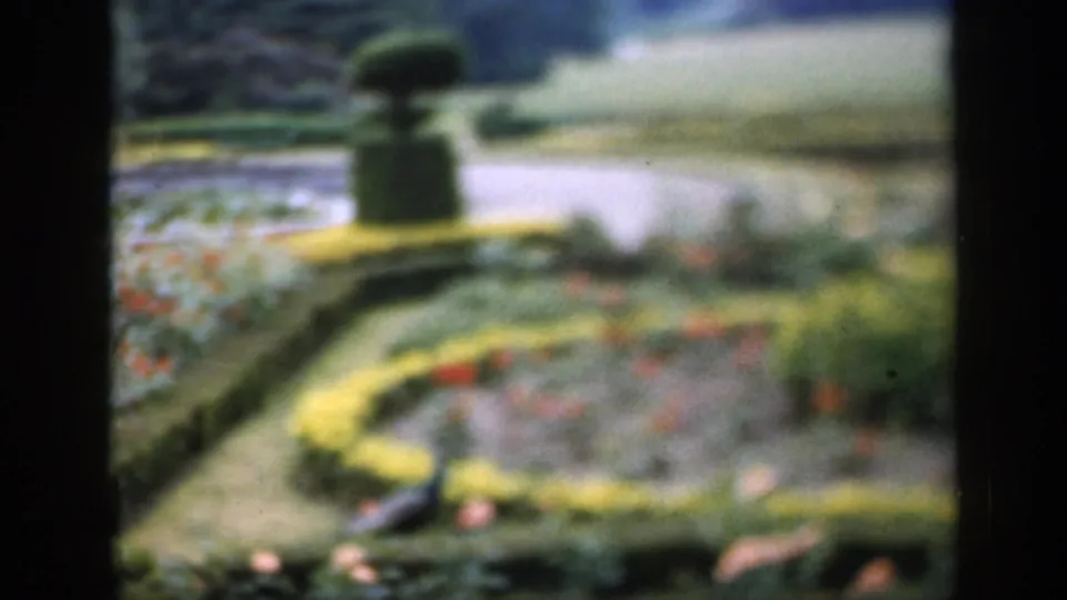 Soft-focused 1949 England garden frame showing pond water, clipped hedges, topiary, green planting, and scattered red flowers.