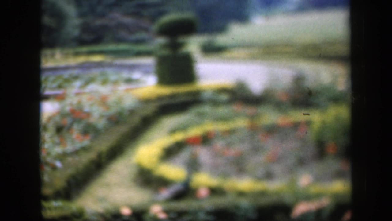 1949 England 8mm frame showing a formal garden with curved hedges, flowerbeds, topiary, and a peacock partly visible near the path.