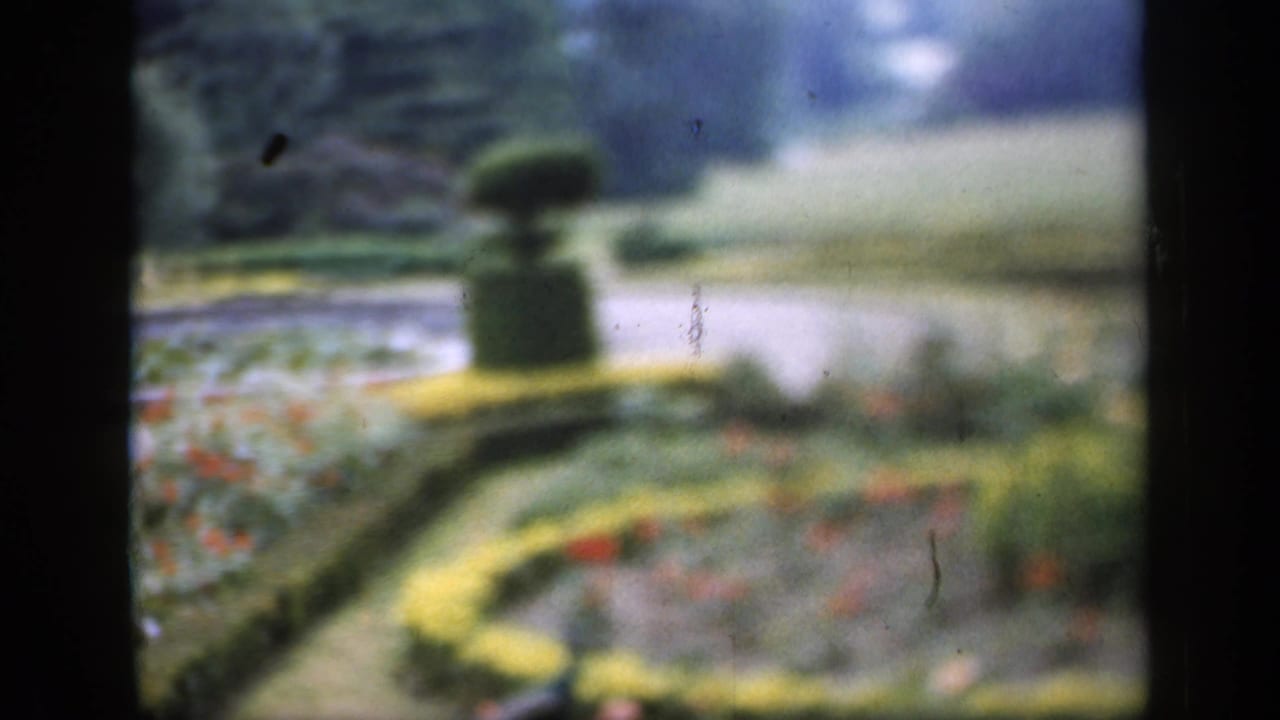 Formal garden with curved hedge borders, flowerbeds, topiary, and a path in soft focus.