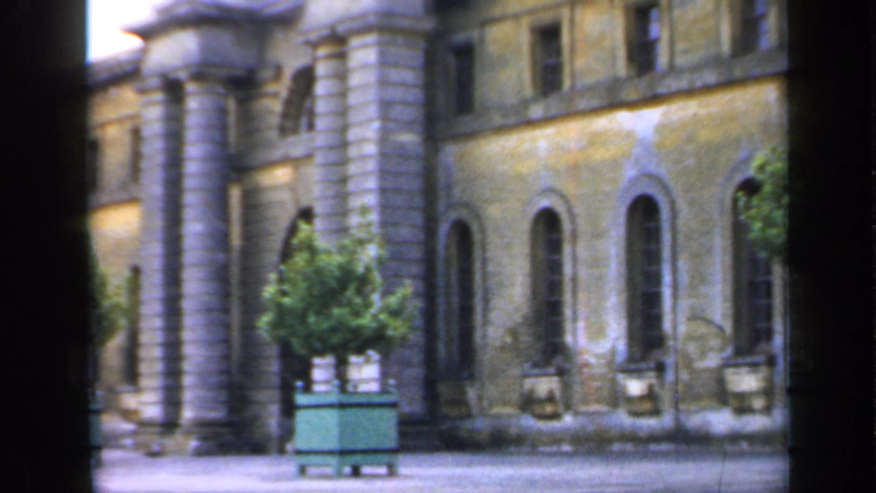 Stone building wall with arched windows, column details, and a green planter holding a small tree.