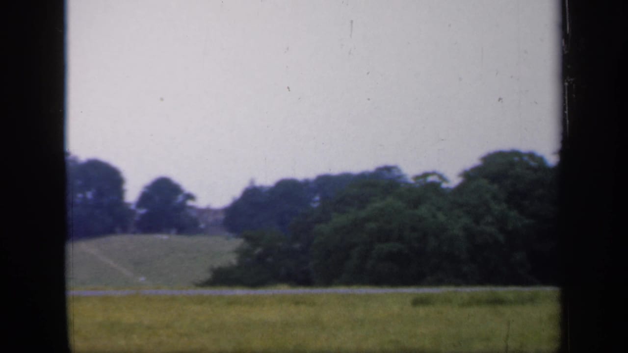 Open field with distant trees and a darker wooded area at right.