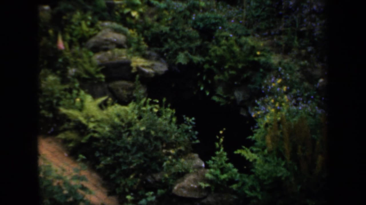 Dense garden plants, rockwork, and a path framed by dark vertical edges.