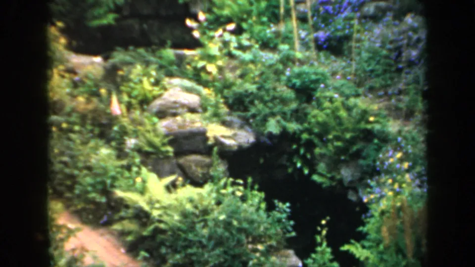 1949 England home-movie frame of a lush rock garden with flowers and shrubs, partly obscured by dark window or doorway bars.