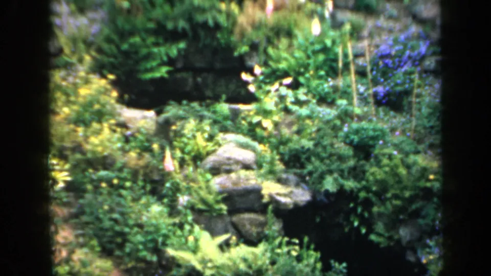 1949 England castle-garden footage showing flowers, shrubs, and stacked rockwork from a shaded visitor viewpoint.