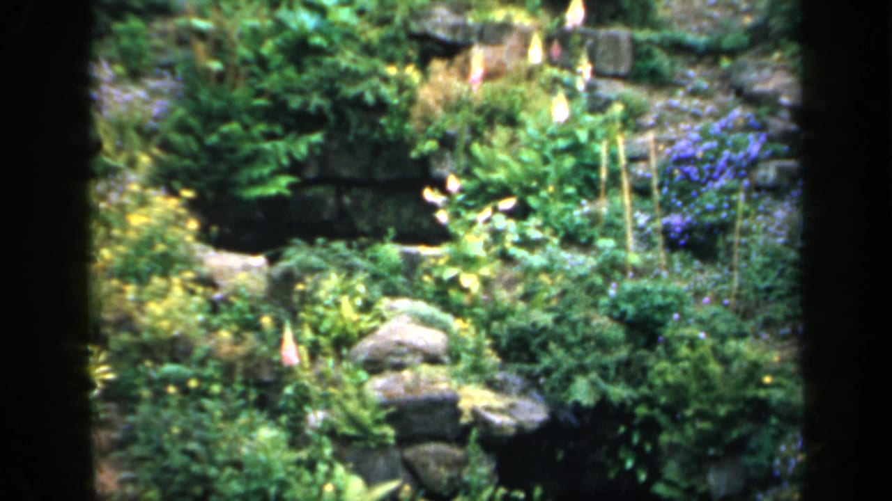 Sunlit garden with stone walls, shrubs, purple flowers, and tall pale flower spikes.