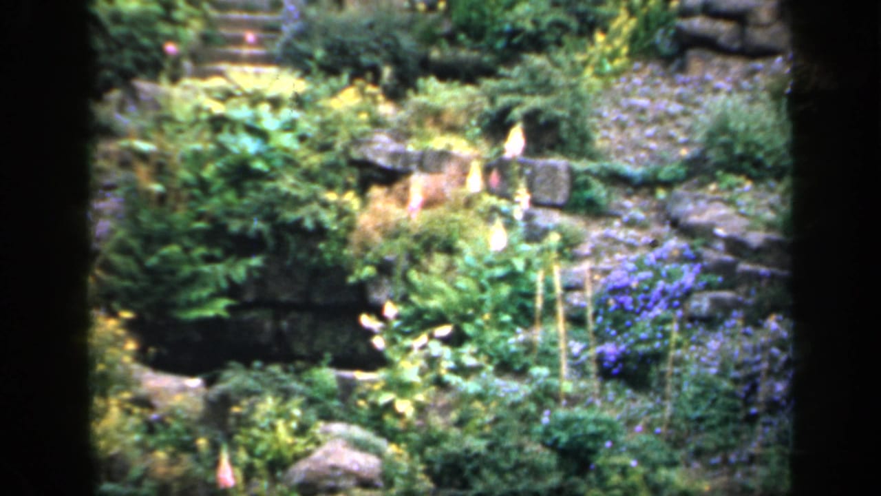 1949 England 8mm frame with a garden path, distant stone steps, layered walling, shrubs, and purple flowers in soft color.