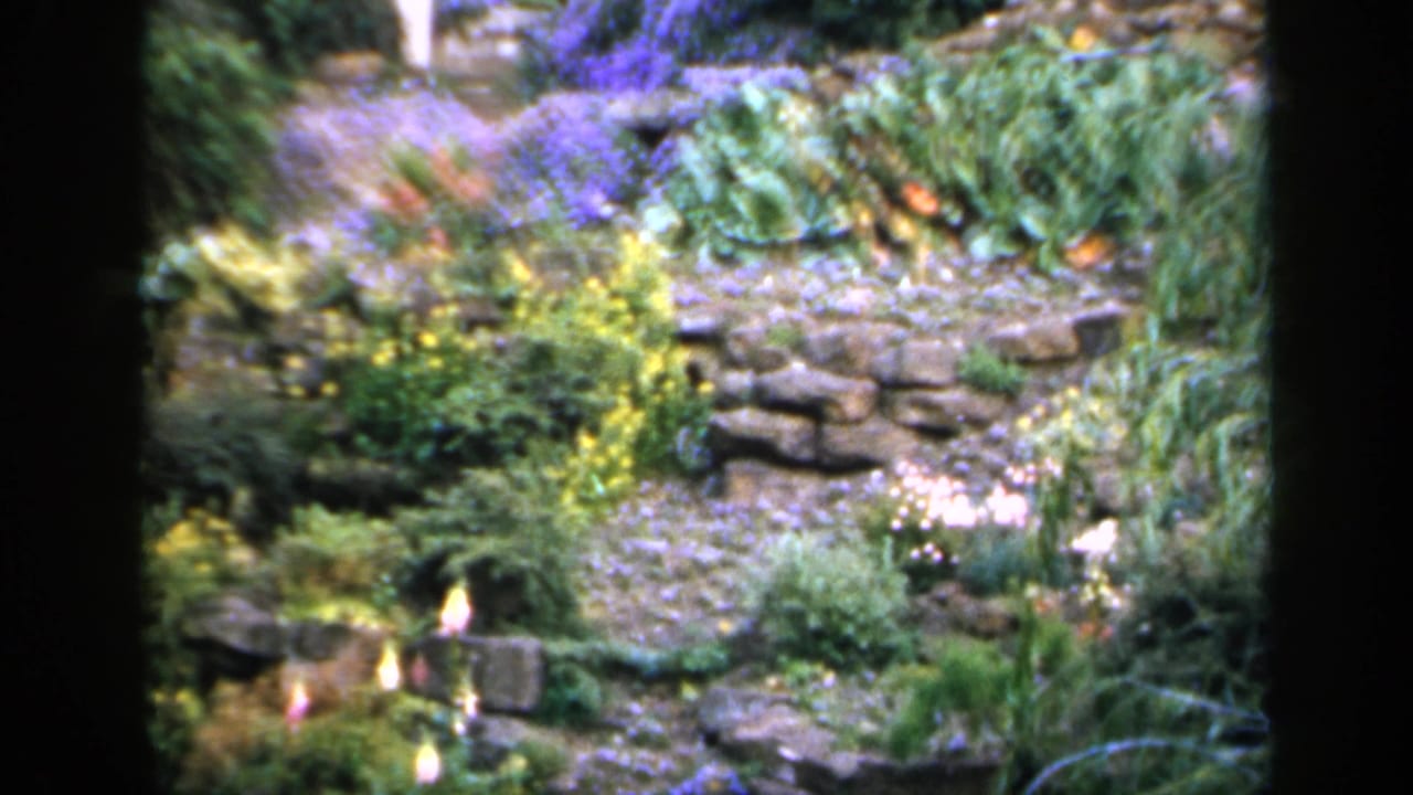 1949 England home-movie frame showing a planted garden area with low stone rockwork, flowers, and dense greenery.