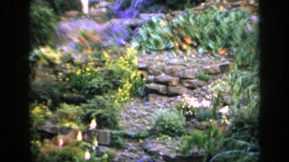 1949 England home-movie frame showing a planted garden area with low stone rockwork, flowers, and dense greenery.
