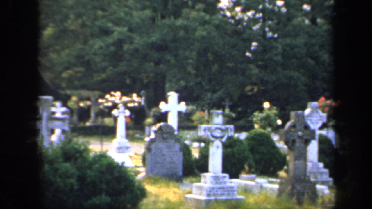 Cemetery headstones and white crosses seen across grass and shrubs beneath trees.