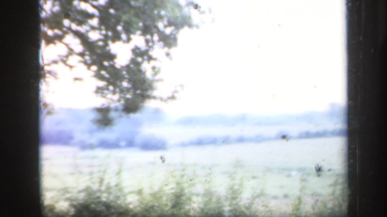 Soft countryside view through dark window framing, with fields, trees, and pale sky.