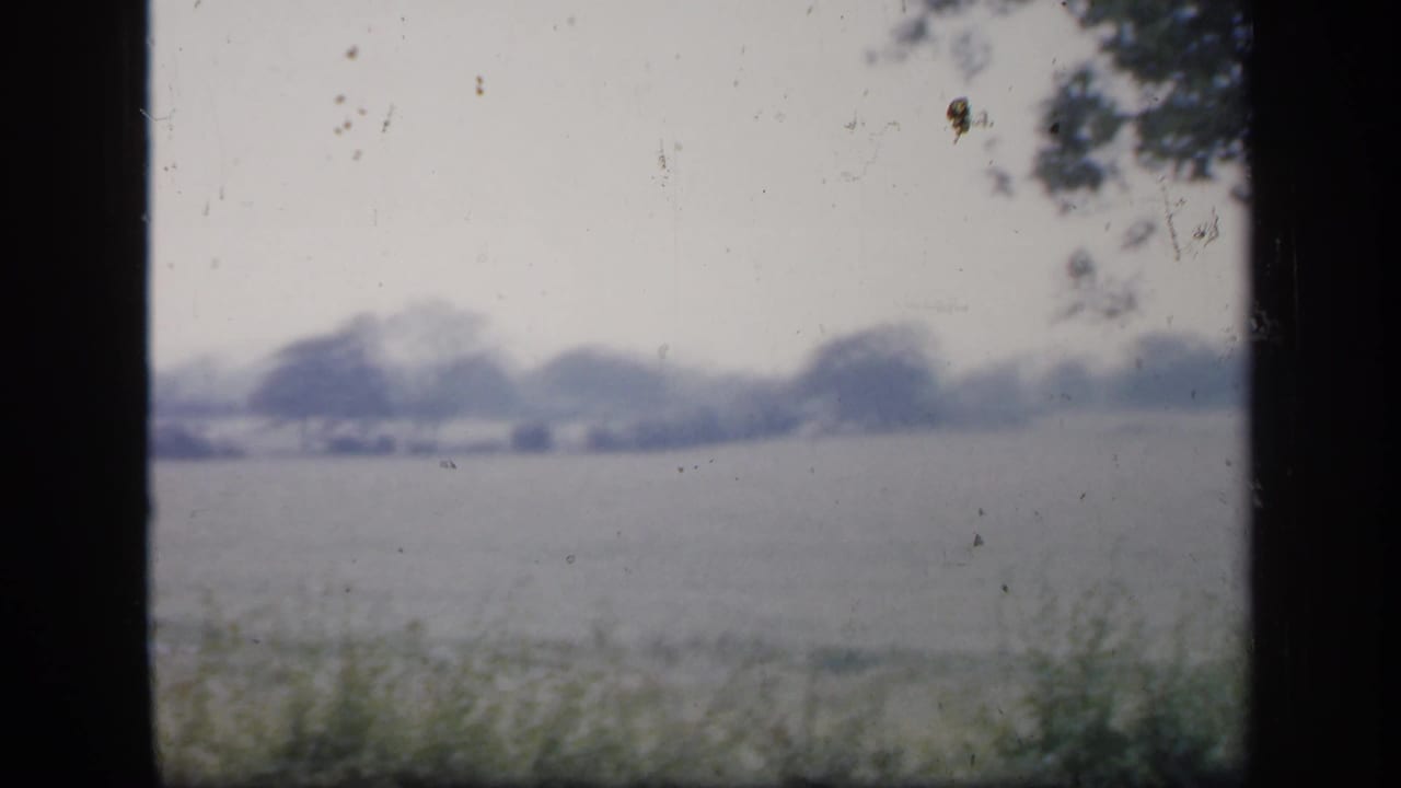 1949 England 8mm frame showing a wide rural field beyond foreground plants, with dark window edges and soft distant trees.