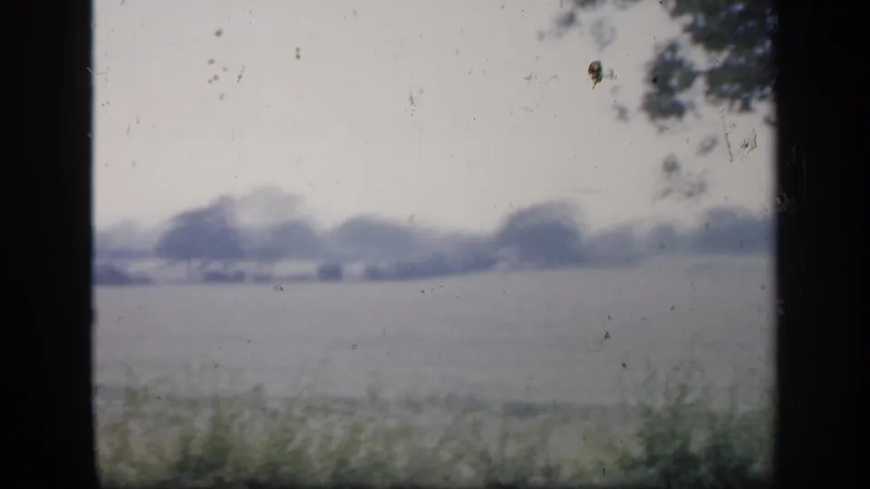 1949 England 8mm frame showing a wide rural field beyond foreground plants, with dark window edges and soft distant trees.