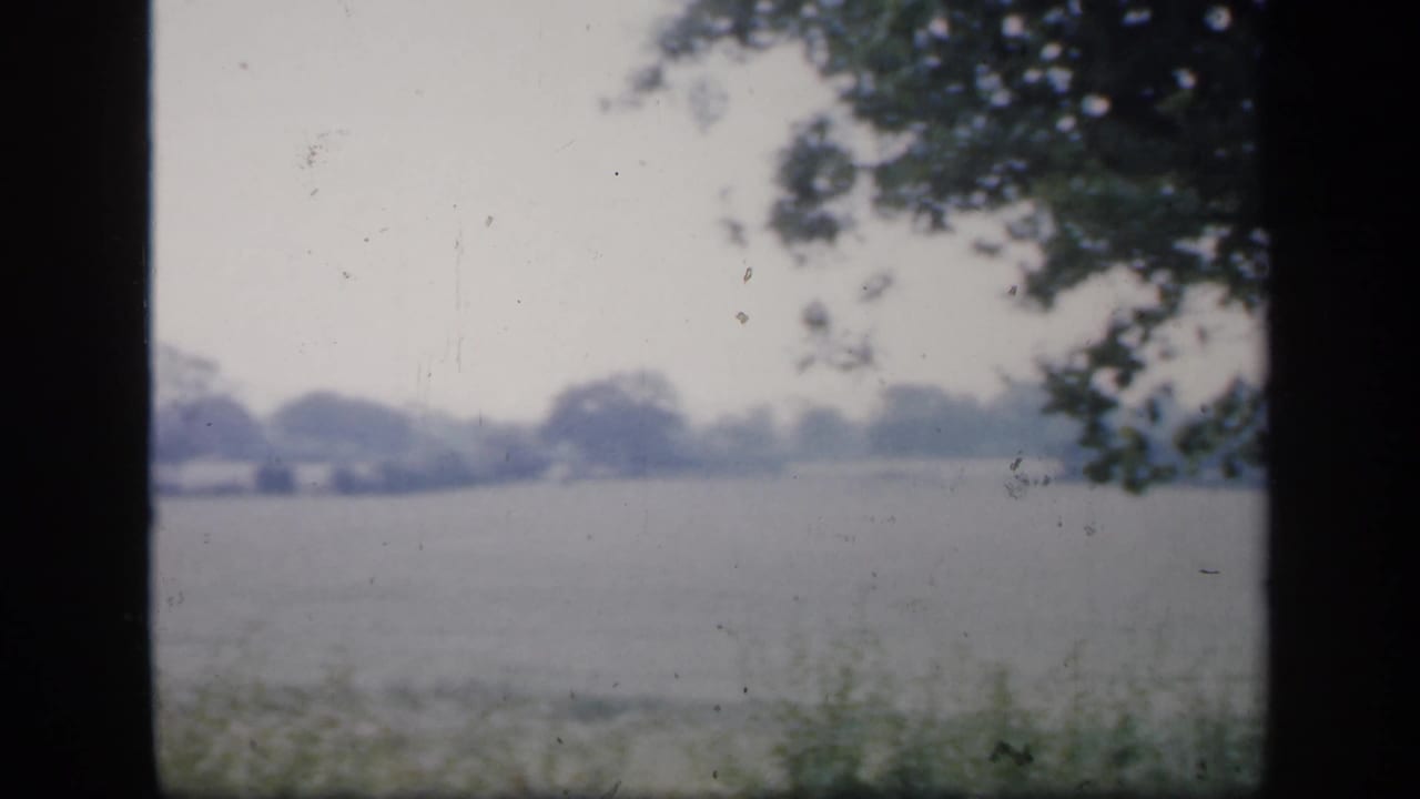 Soft, partly obscured view of a rural road edge and distant field through 8mm frame borders.